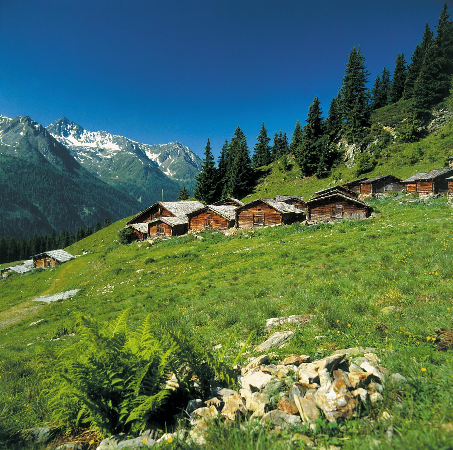 Hotel Alpenkoenigin - Sommer Silvretta Premium Card Inklusive See Exterior foto